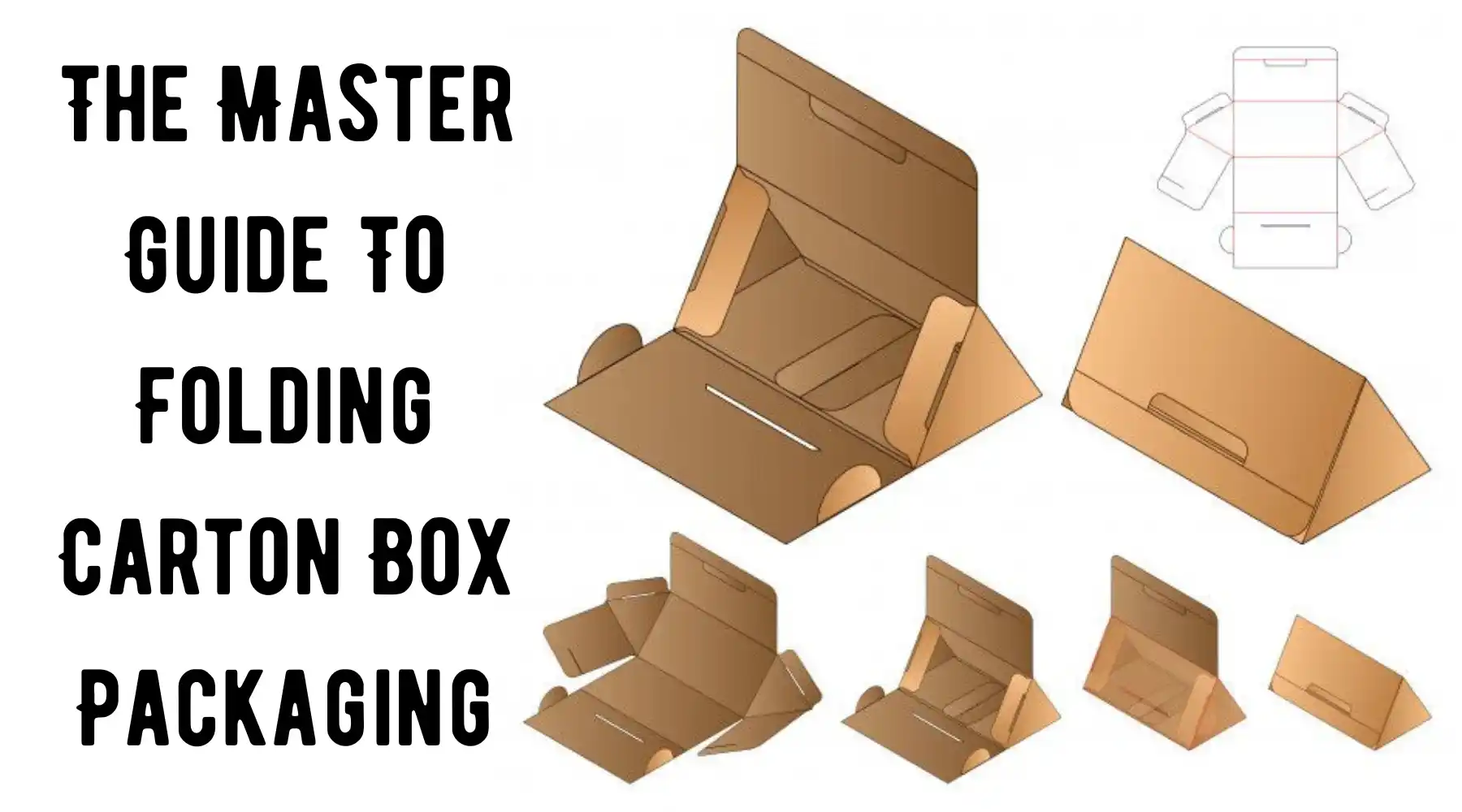The Master Guide To Folding Carton Box Packaging.webp